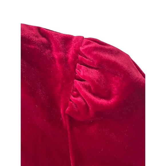 DKNY Womens Red Ruched Zippered Velvet Pouf Sleeve V Neck Dress 16 NWT - Picture 9 of 13